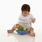El bebé de 6 meses: desarrollo y crecimiento